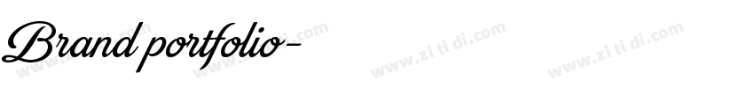 Brand portfolio字体转换